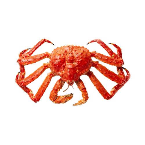 Alaskan King Crab