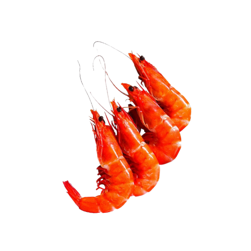 Tiger Prawns